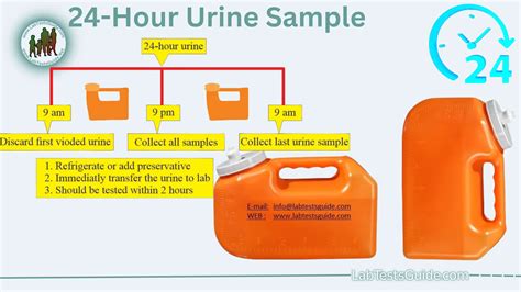 24 Hour Urine Collection