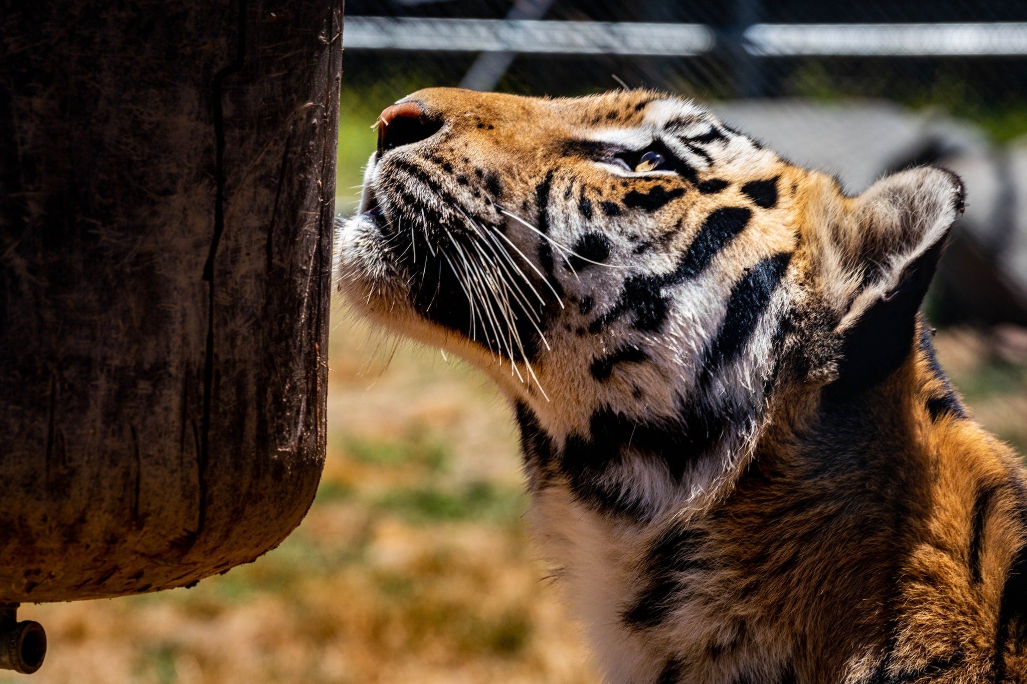 African Country Capital Yaounde