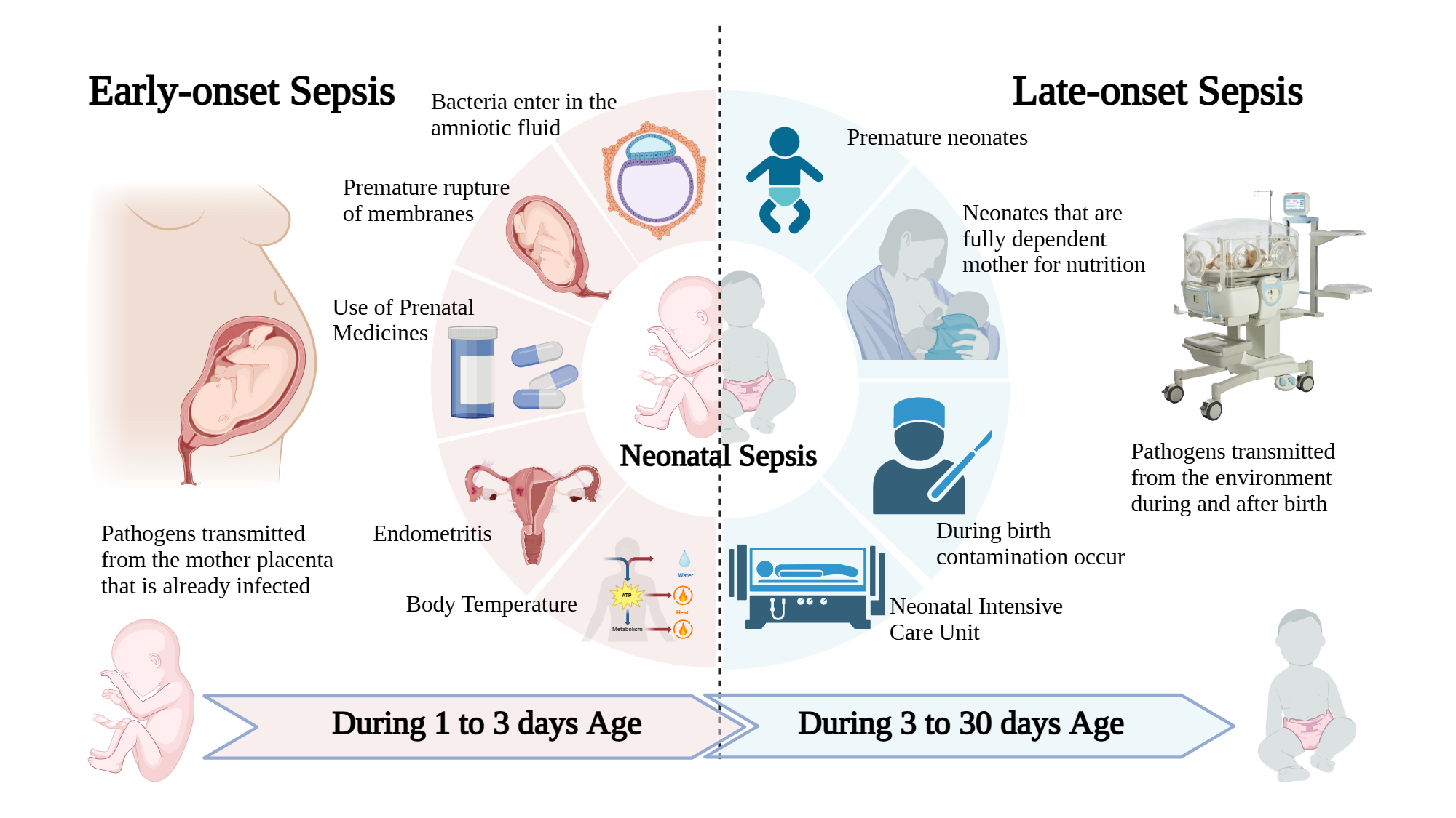 Understanding Age Of Onset Meaning: A Guide To Clinical Diagnosis