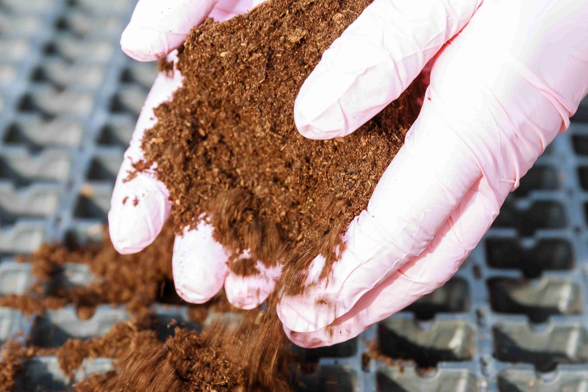 Agriculture In Economic Development