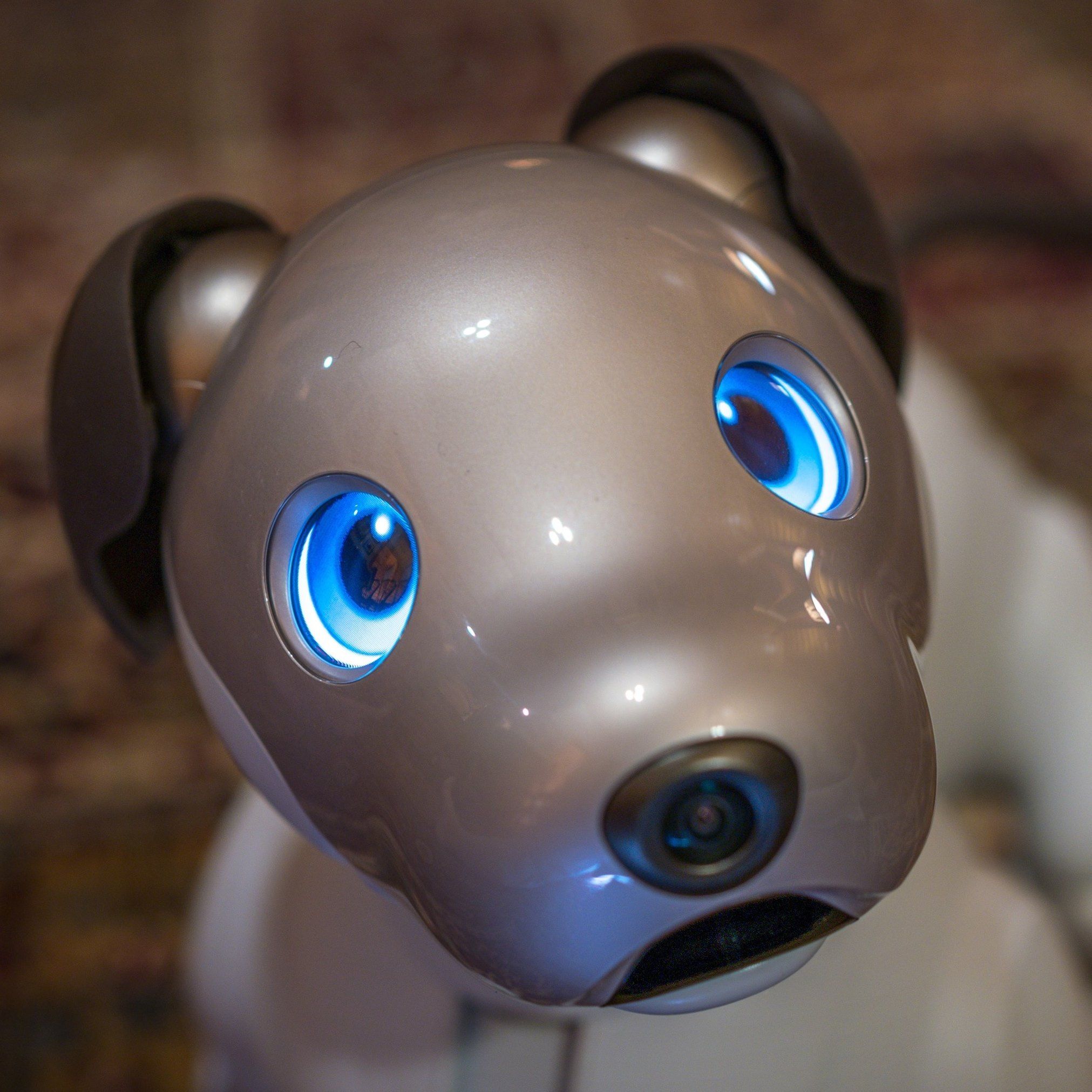 Living With Aibo: Is Sony’s Robot Dog Worth The Investment In 2026?