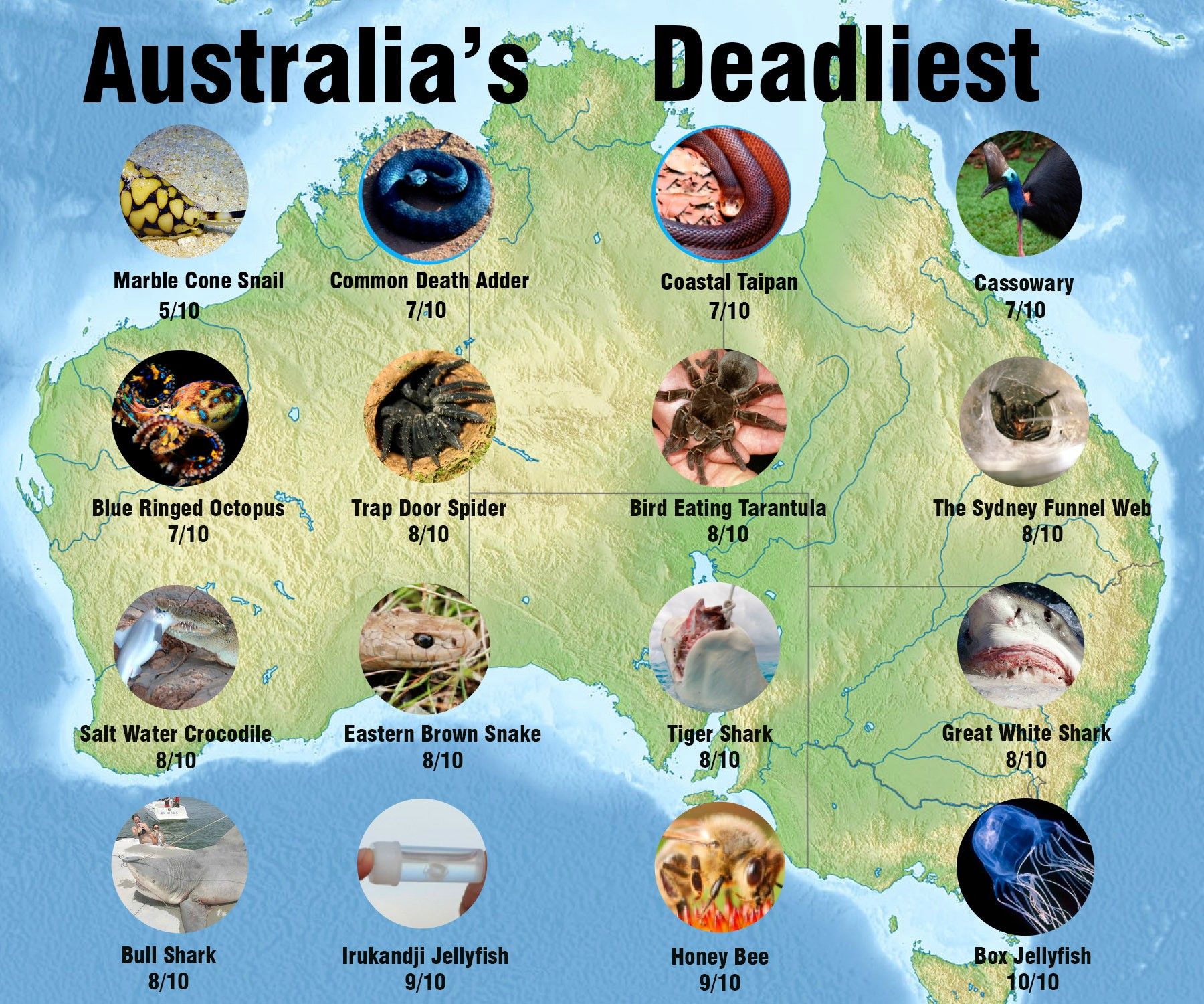Animals Endemic To Zanzibar