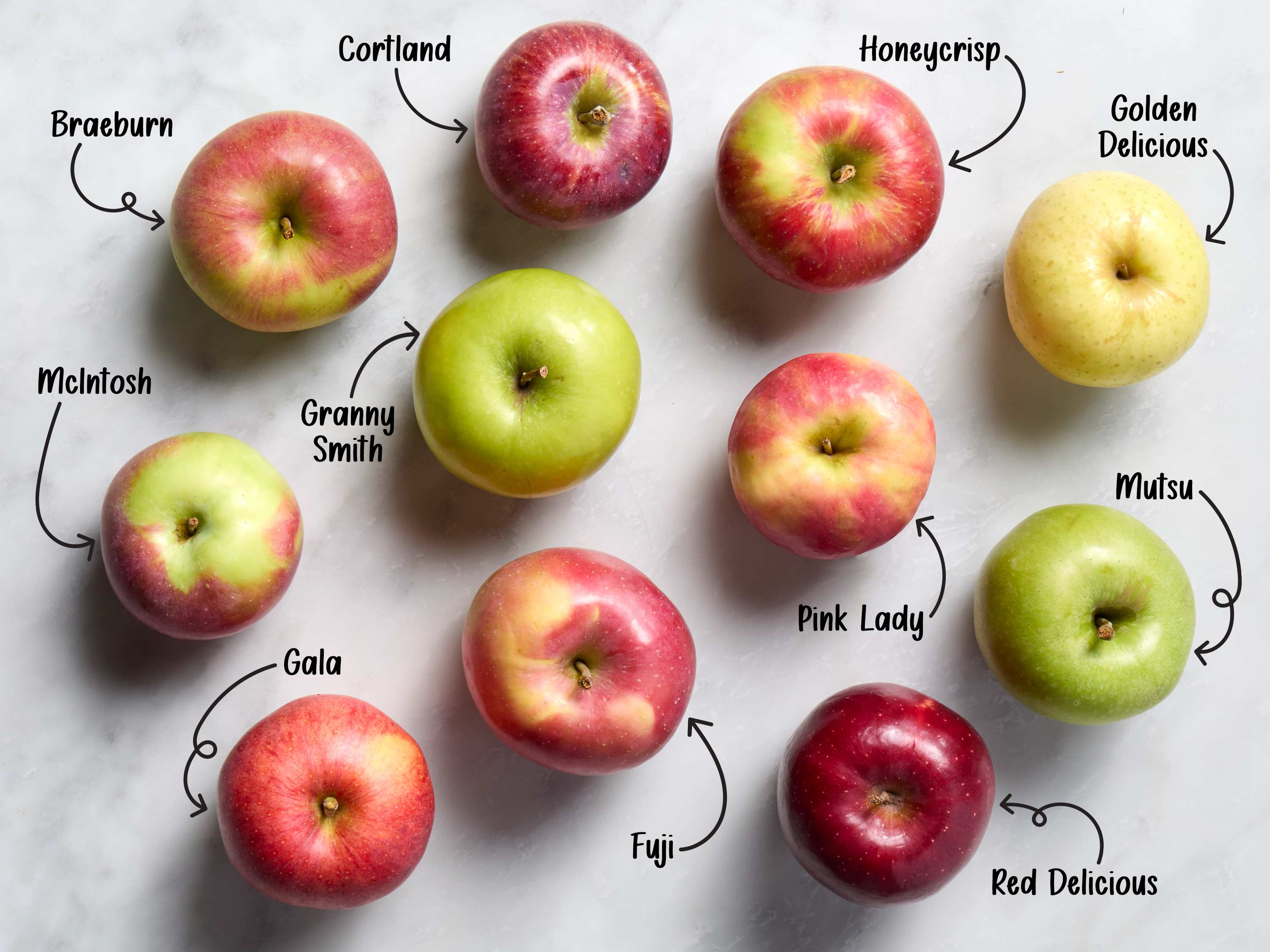 Apple Sketch Images
