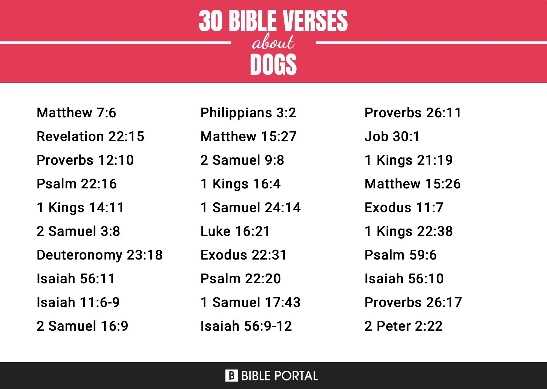 Are Dogs In The Bible? A Closer Look At The Ancient Context