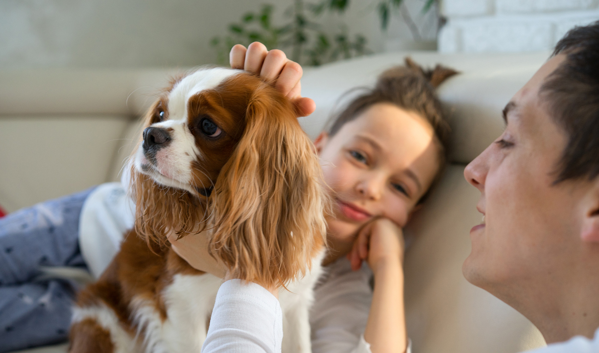 Are Dogs Like Humans? The Surprising Science Behind Our Bond