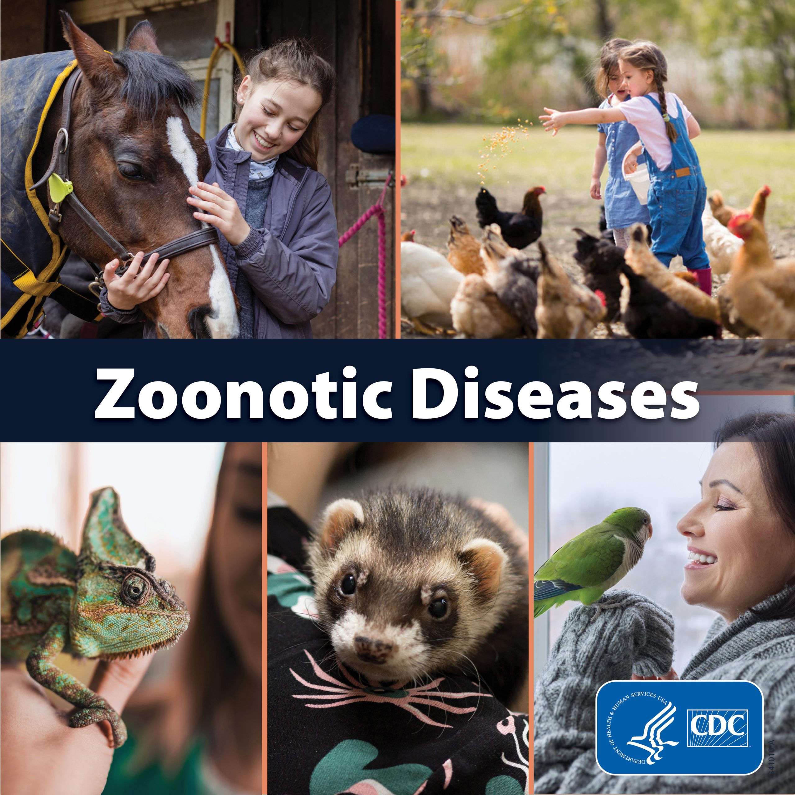 Are Dogs Zoonotic? Understanding Risks To Human Health In 2026