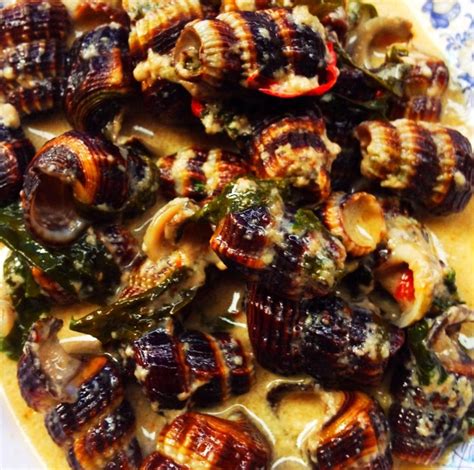 Are Snails Shellfish
