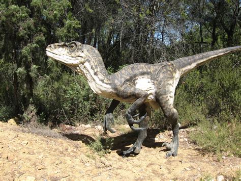 Are There Any Dinosaurs Still Alive
