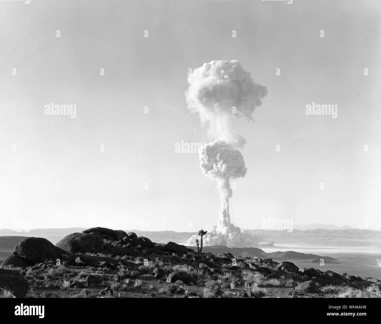 Atomic Symbol W