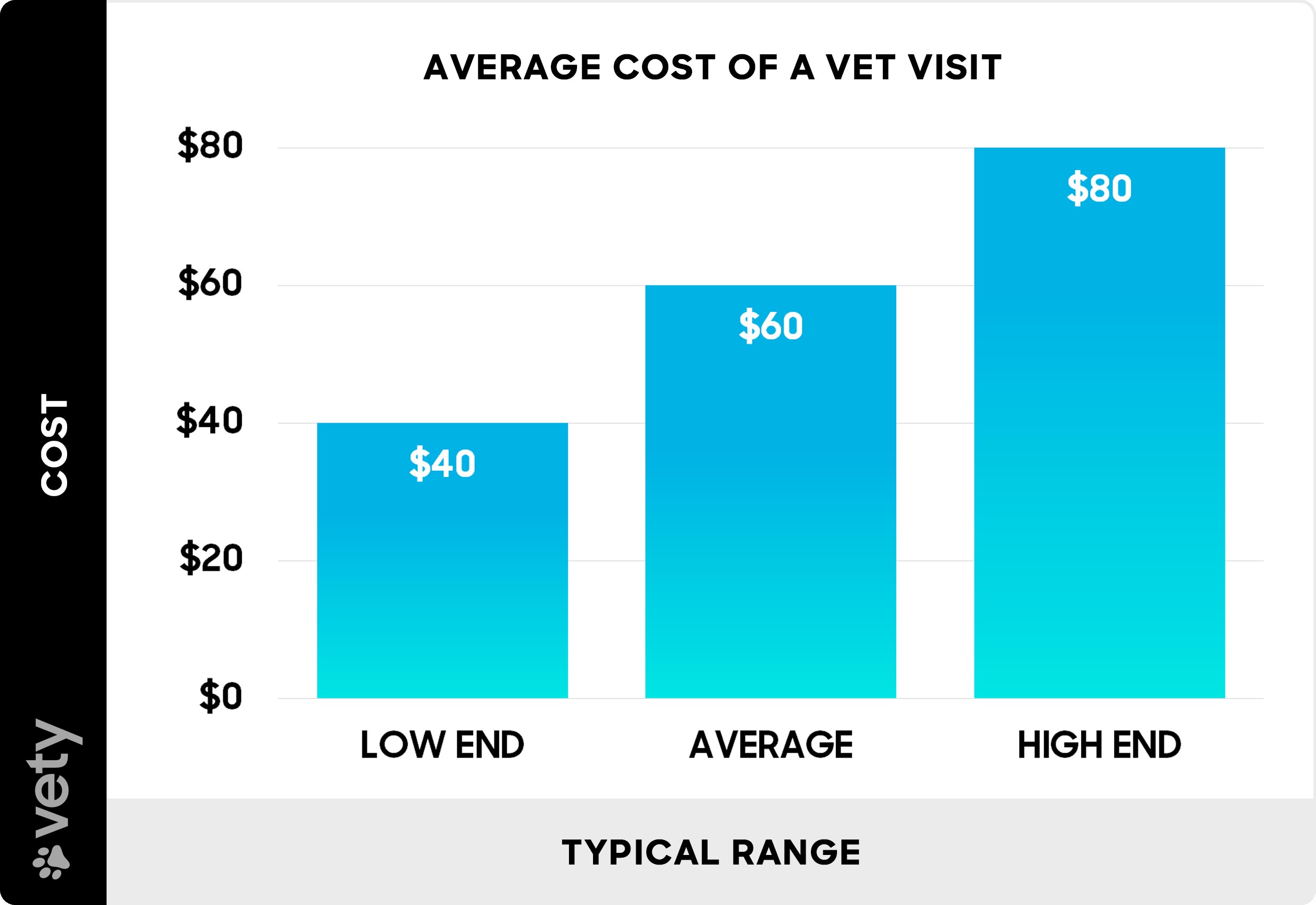 Average Cost Of A Vet Visit: What To Expect In 2026