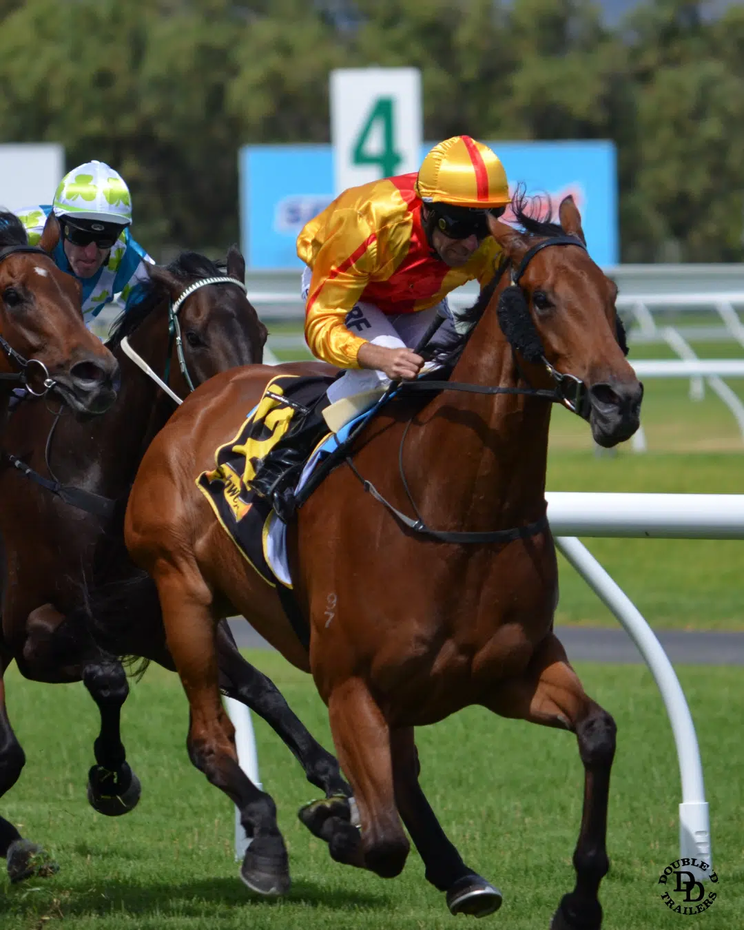 The Average Size Of A Jockey: Height And Weight Requirements Explained