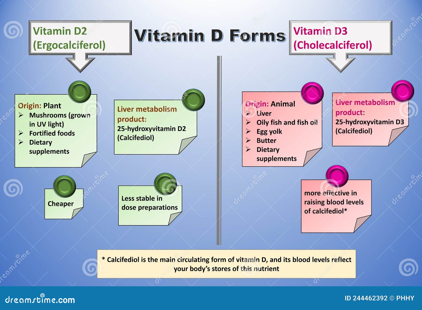D3 Vs. D2: Finding The Best Form Of Vitamin D For You