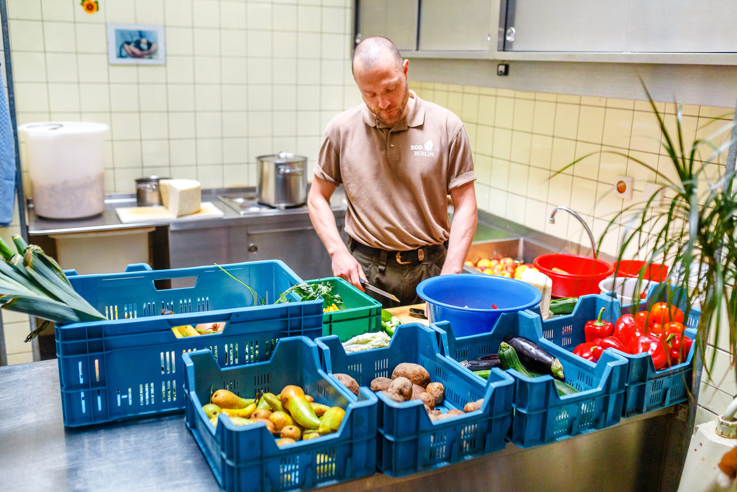 Beyond The Lab: Best Jobs For Zoology Majors In 2026