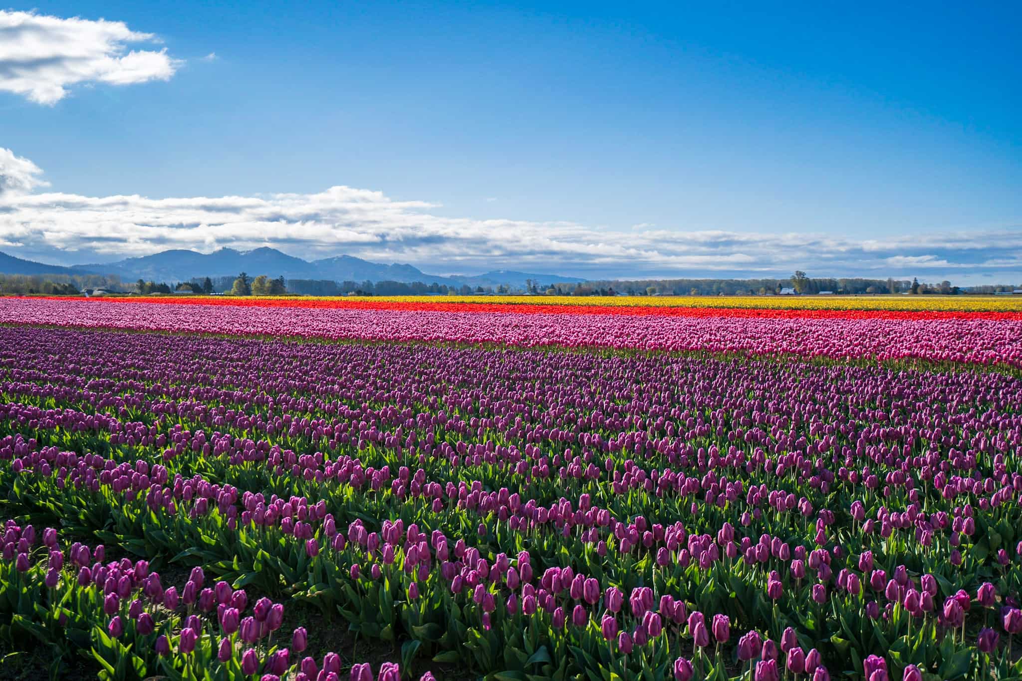 12 Best Places To Go In June For Your 2026 Summer Escape