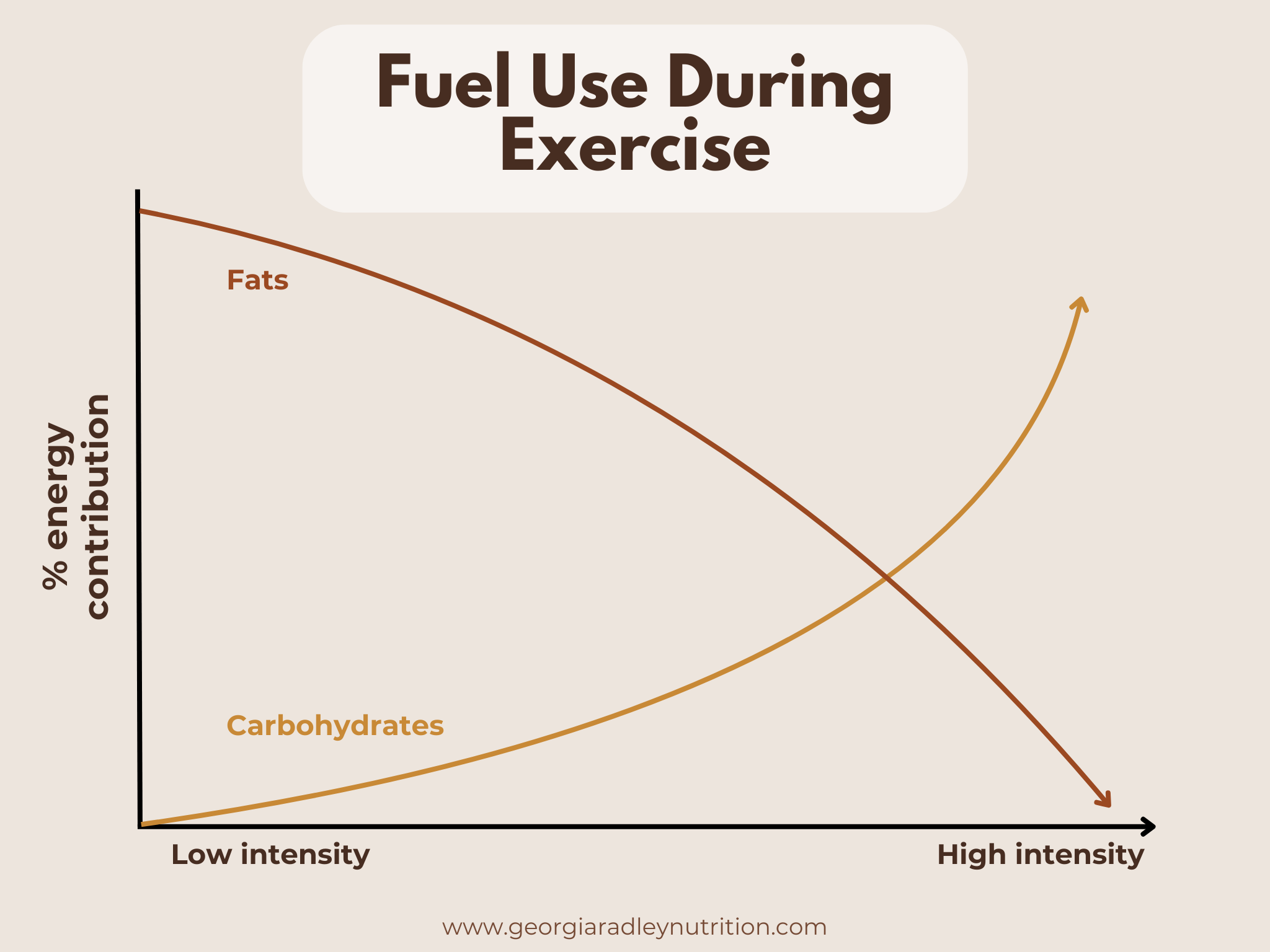 Fuel Your Energy: The Best Sources Of Glucose For Performance