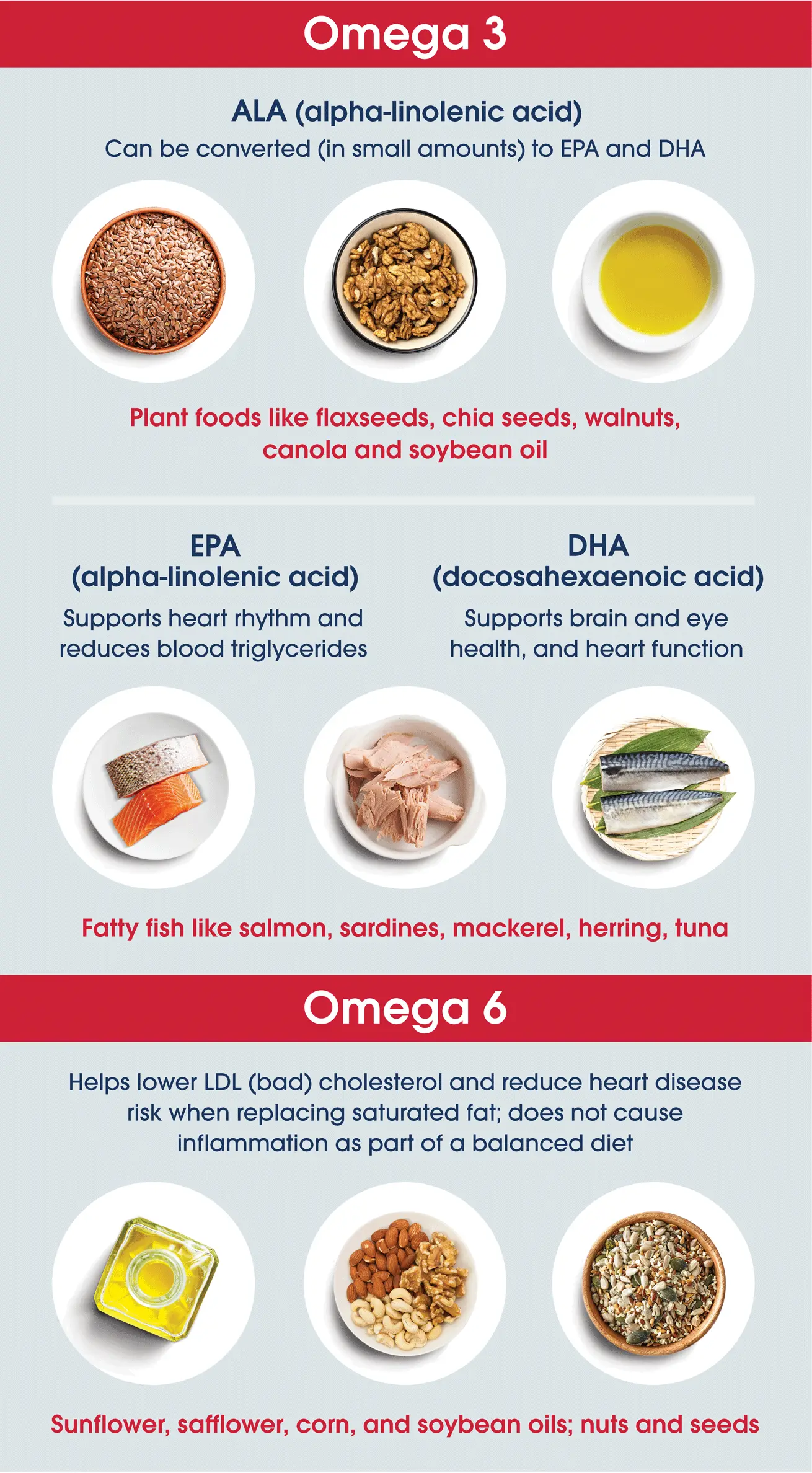 The Best Sources Of Omega 6 Fats For A Balanced Diet