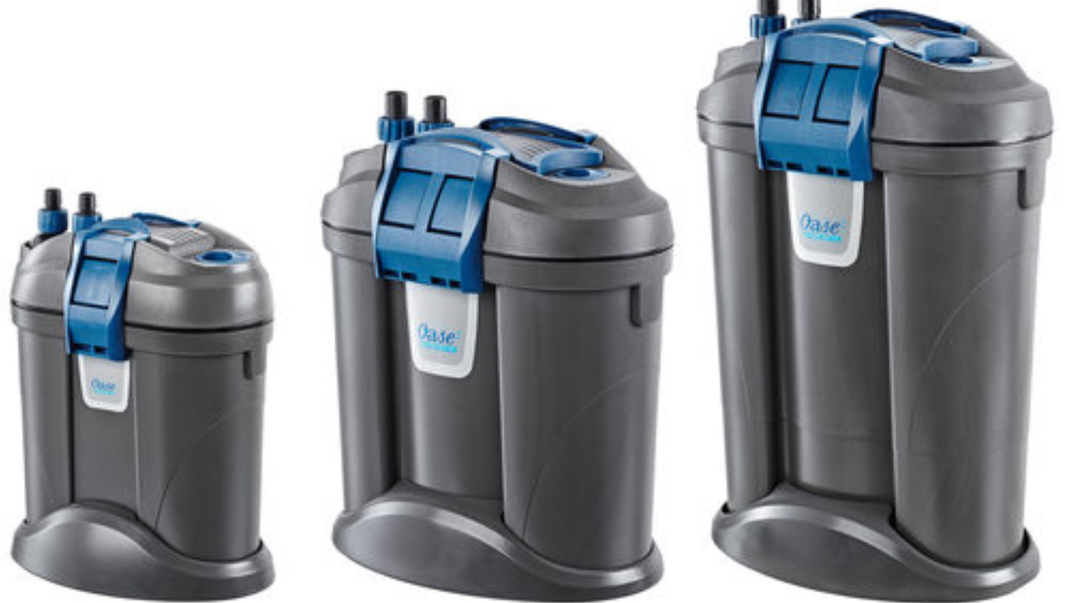 Choosing The Best Type Of Aquarium Filter For Your Setup