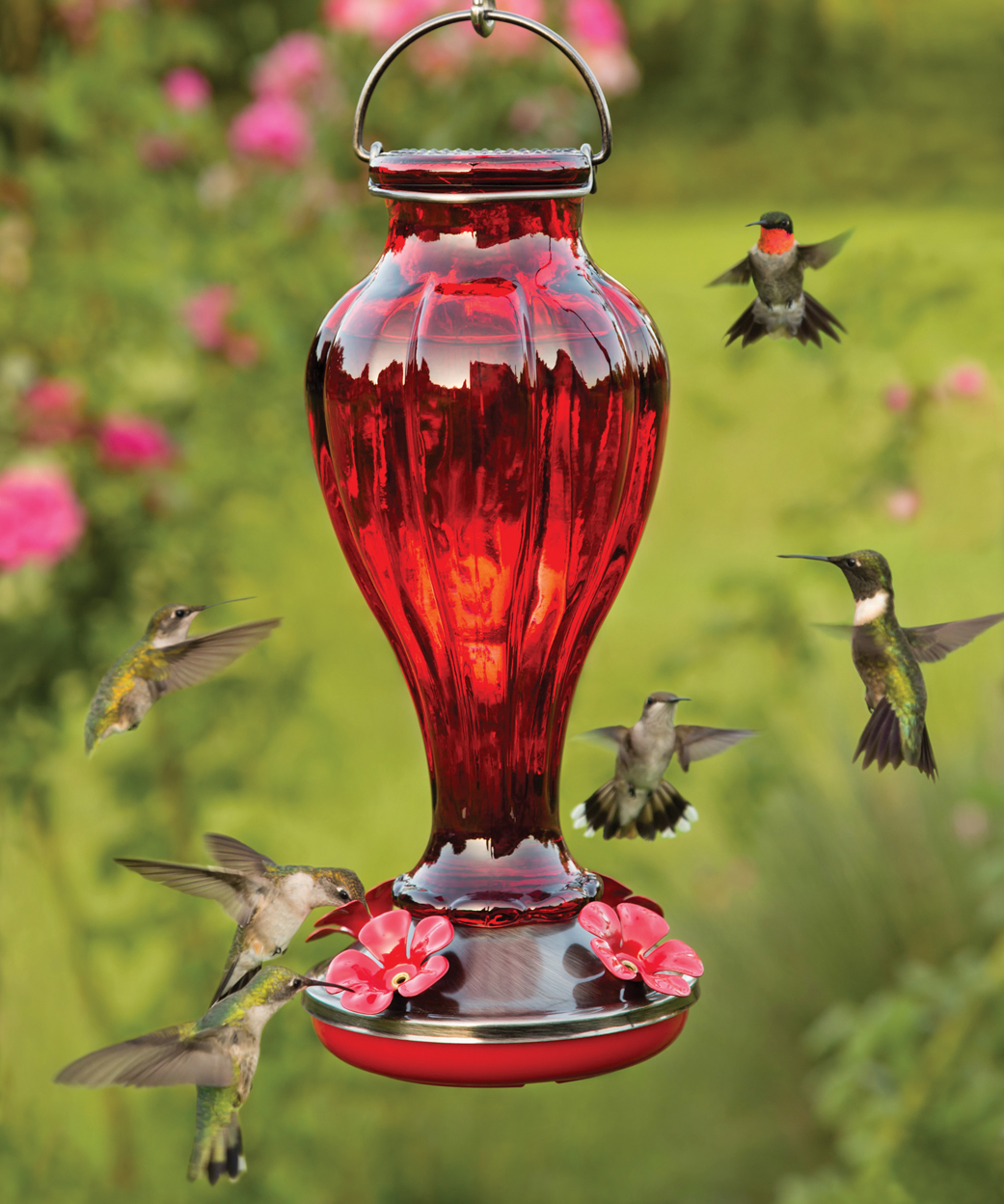 Finding The Best Type Of Hummingbird Feeder For Your Garden
