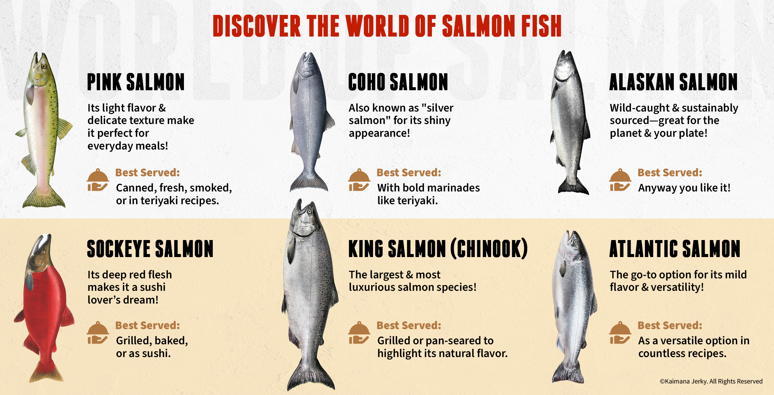 The Ultimate Guide: Choosing The Best Type Of Salmon To Eat