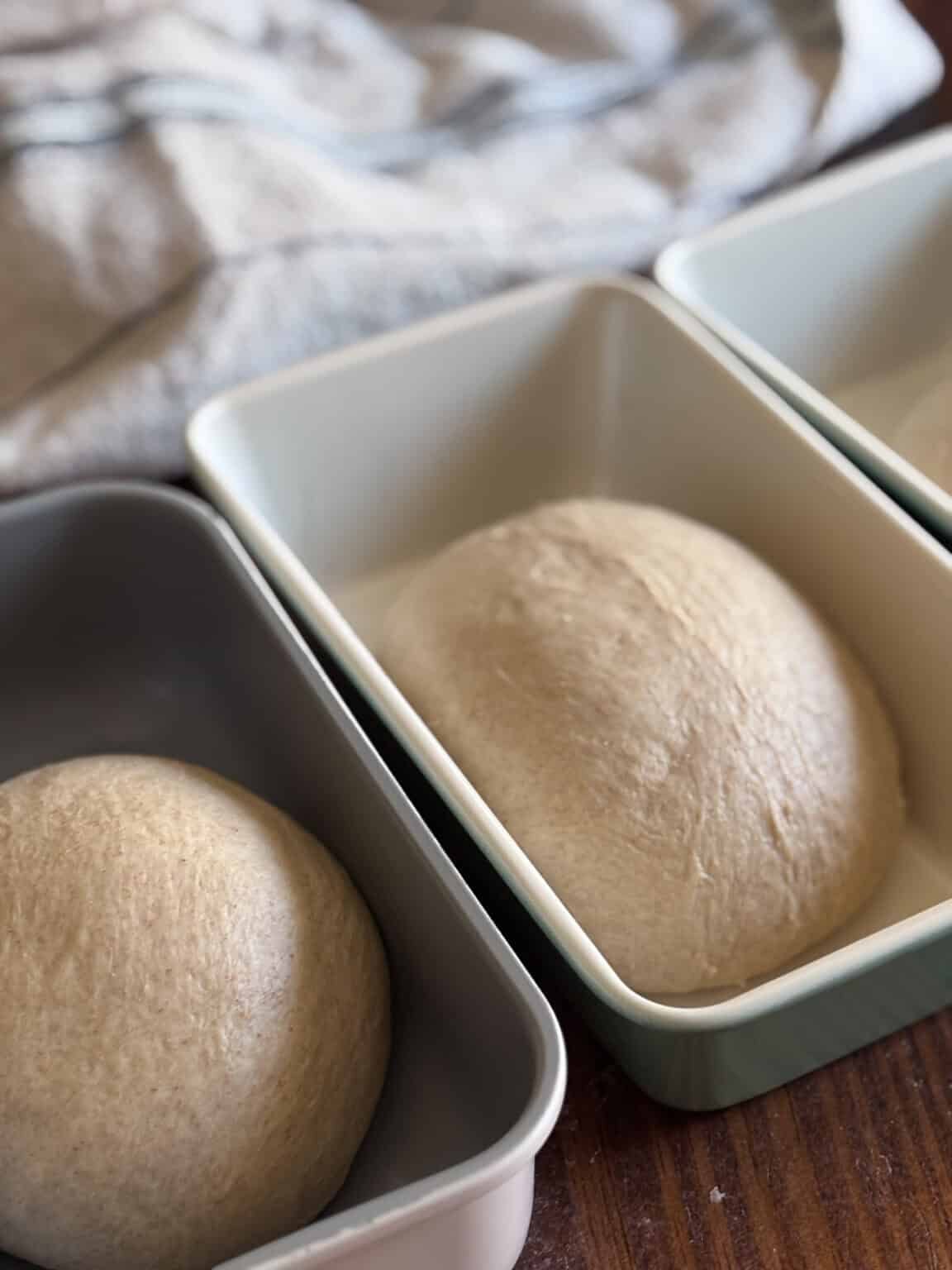 The Best Way To Keep Sourdough Bread Fresh For Days