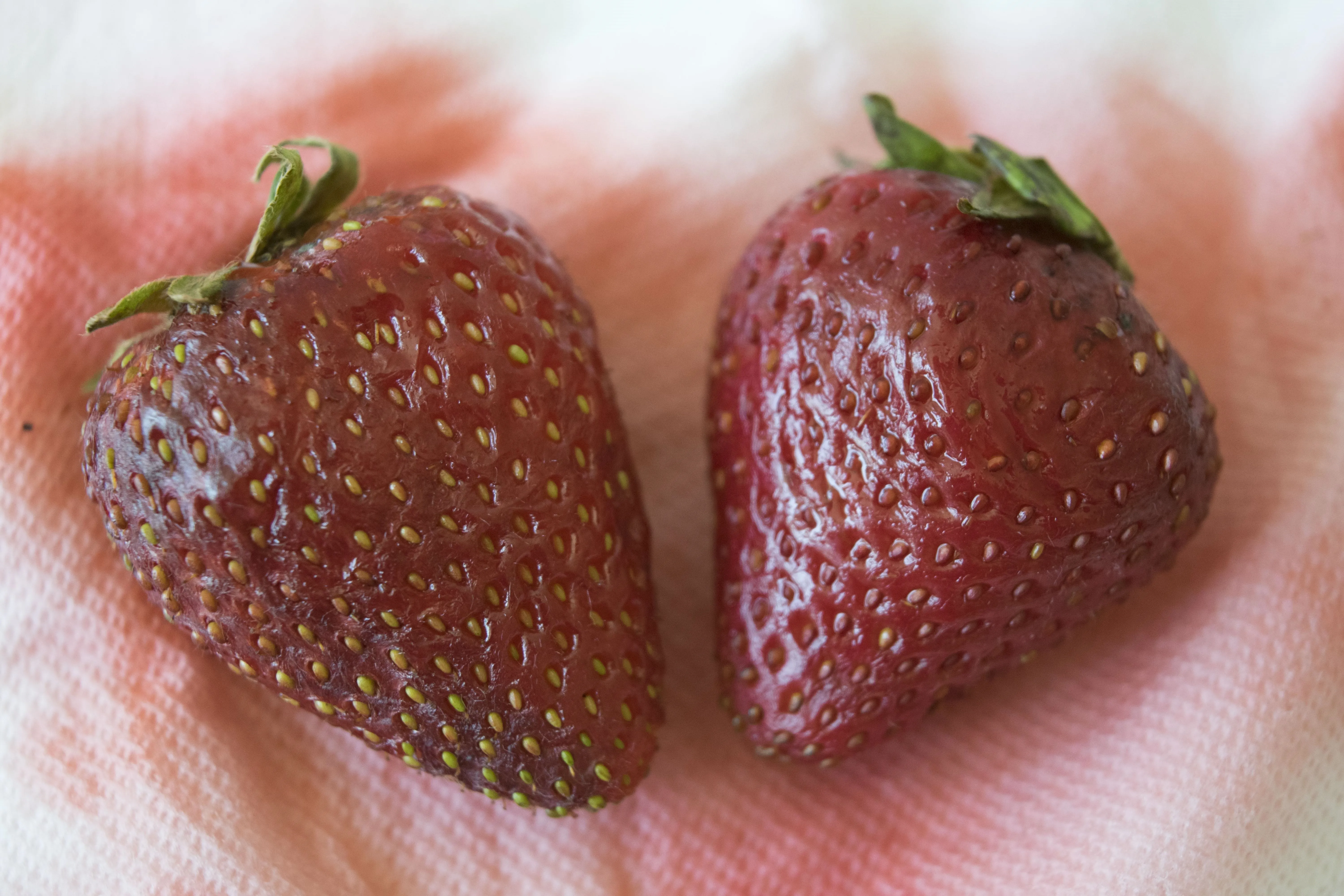 The Best Way To Keep Strawberries Fresh For Weeks