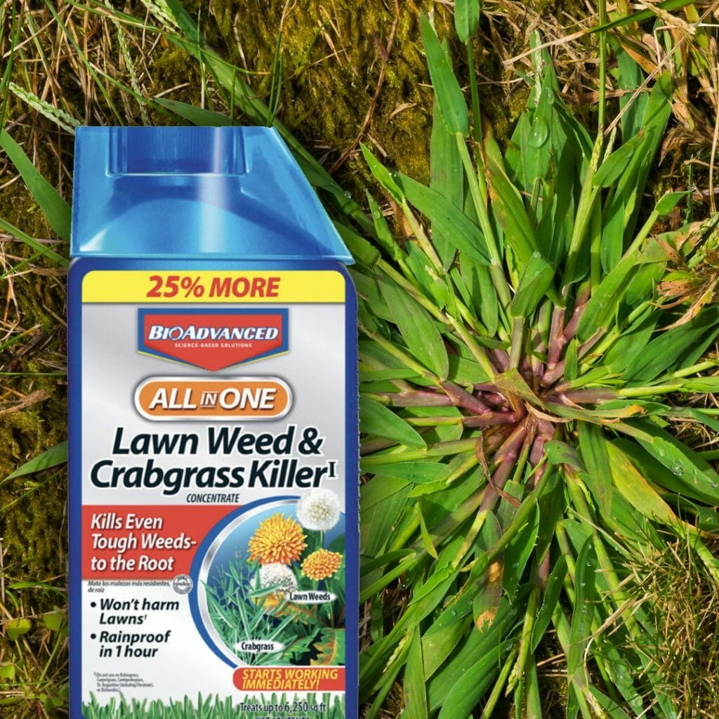 The Best Way To Kill Existing Crabgrass For A Healthy Lawn