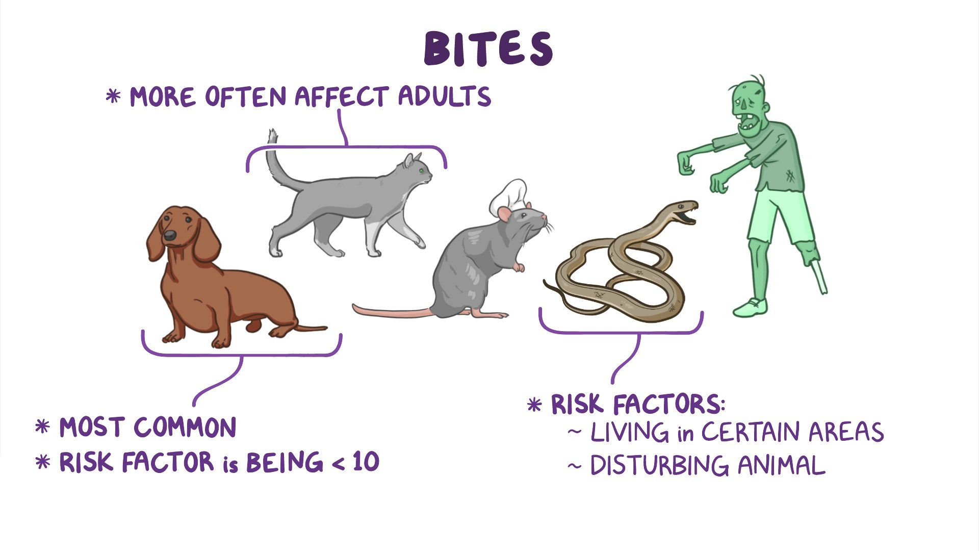 Bite Of Garapata