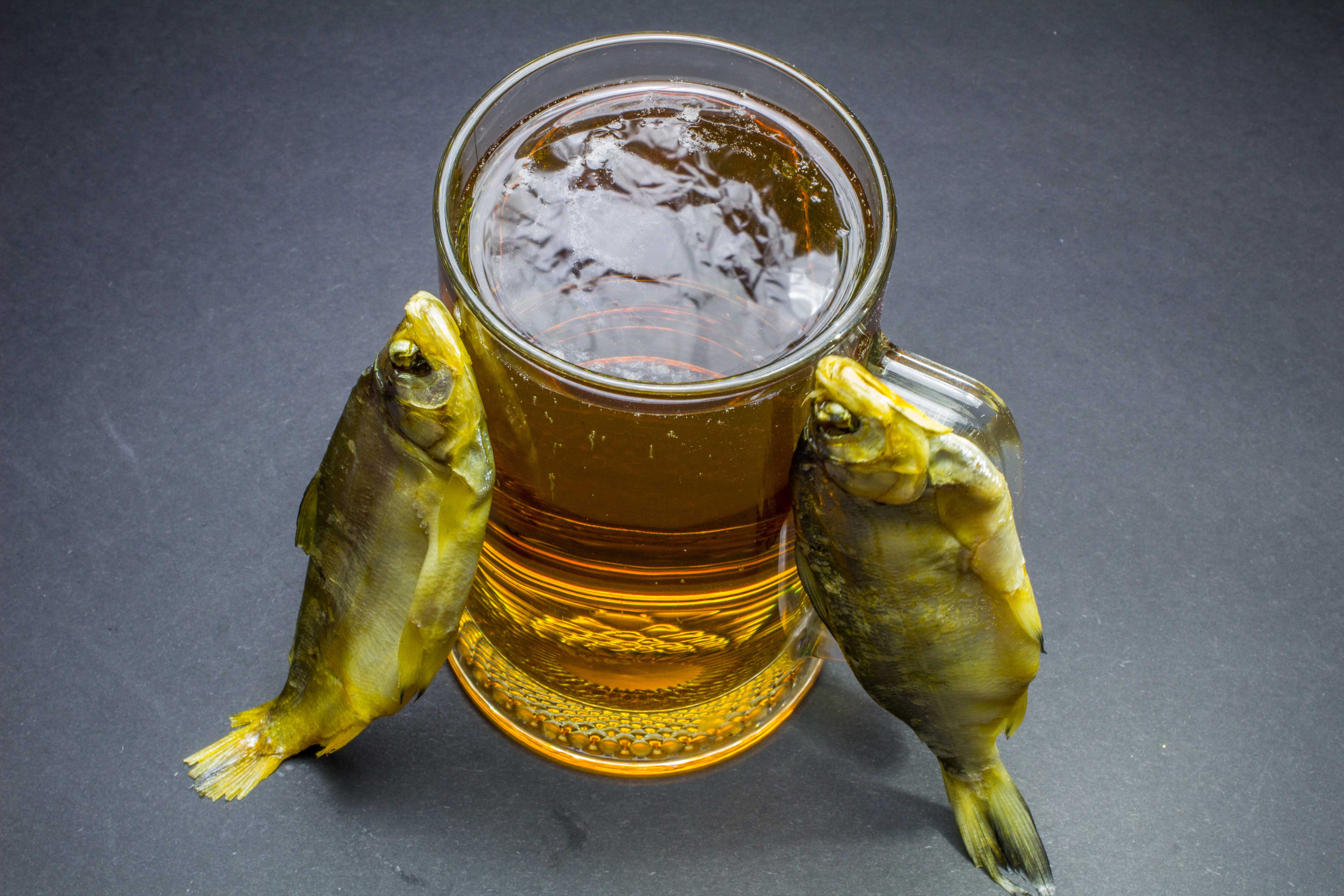 Do Fish Get Thirsty? The Science Behind Underwater Hydration