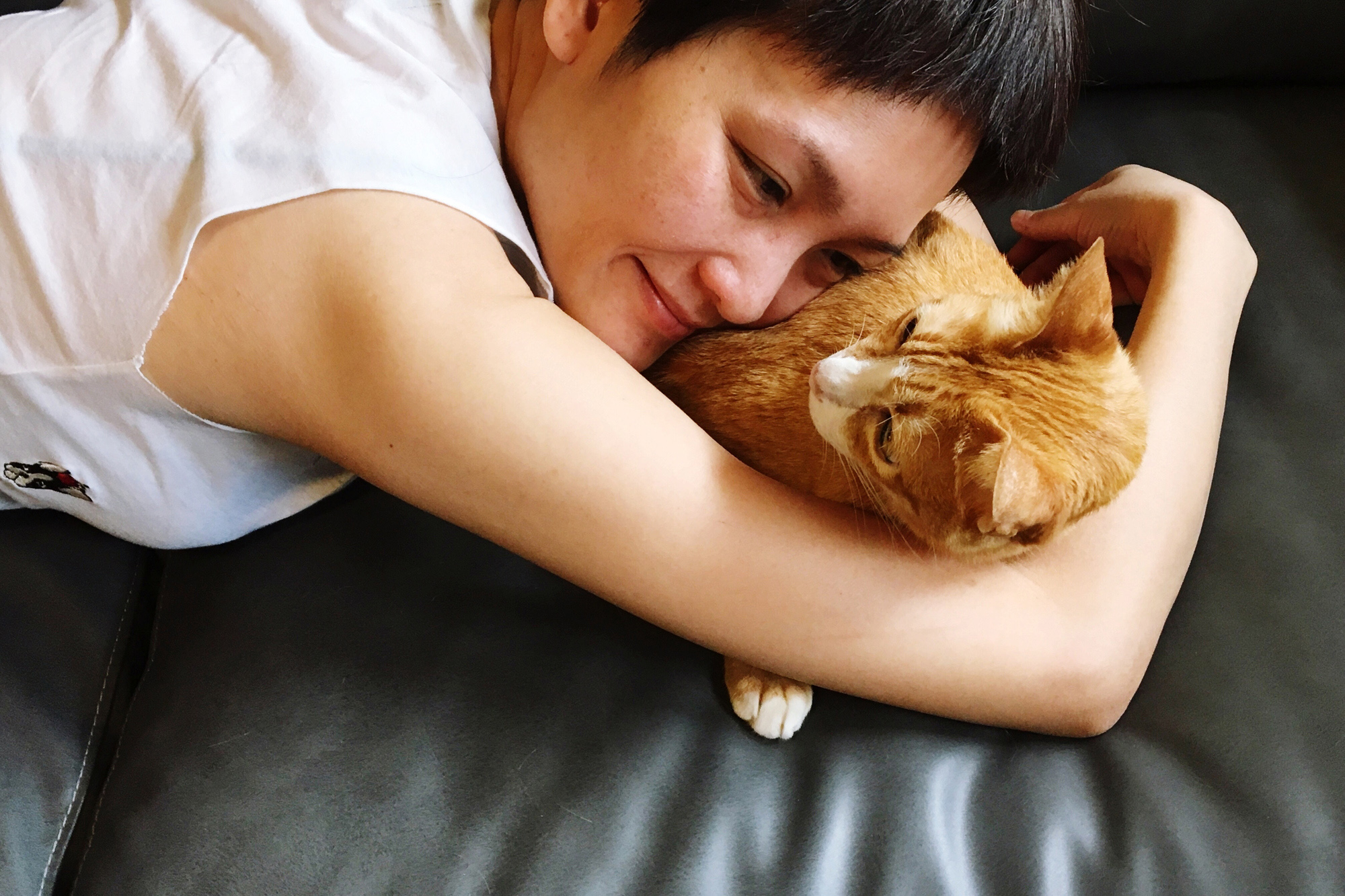 Can Fish Actually Recognize Their Owners? The Science Explained