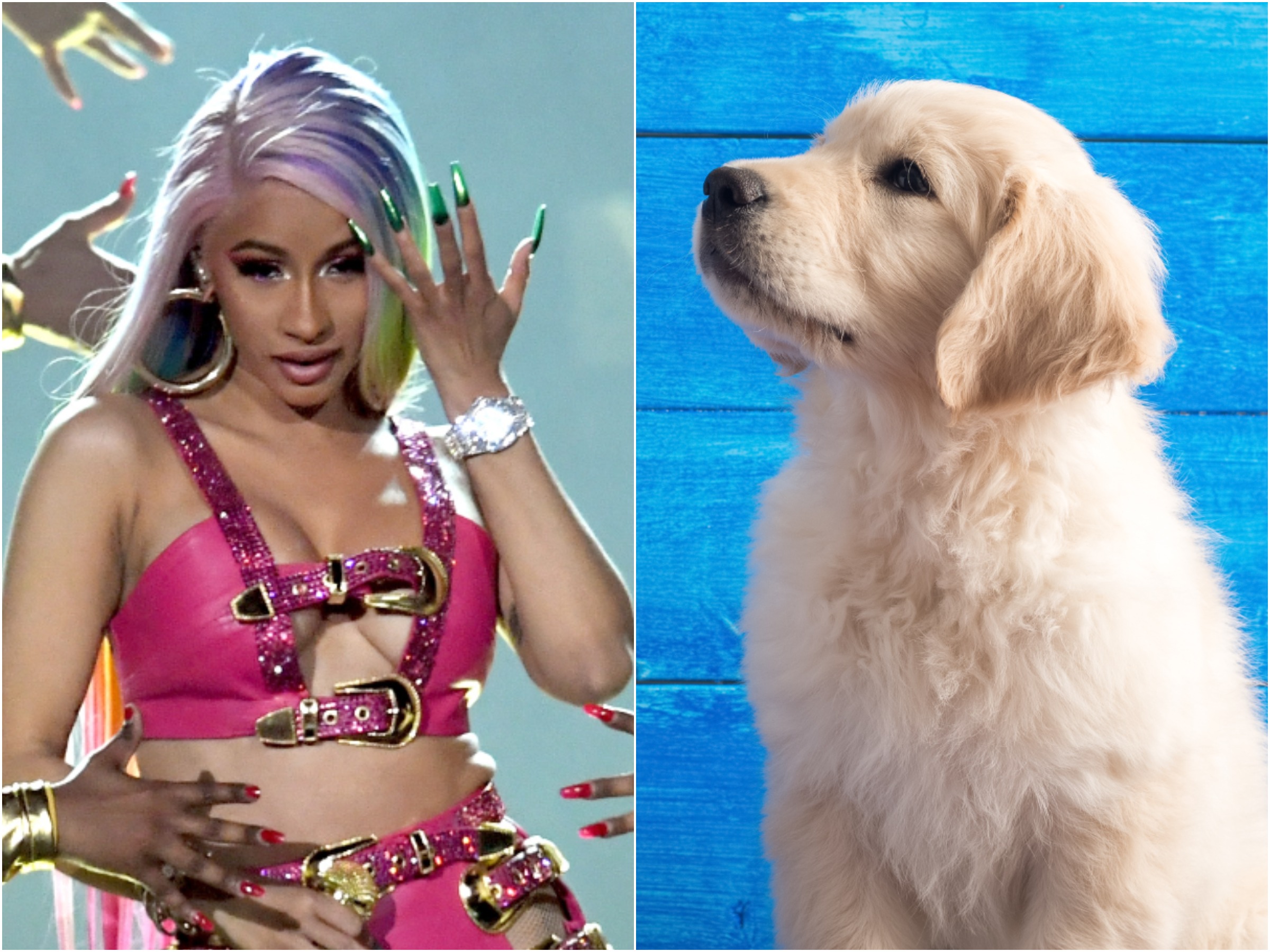 Cardi B When She Was Younger