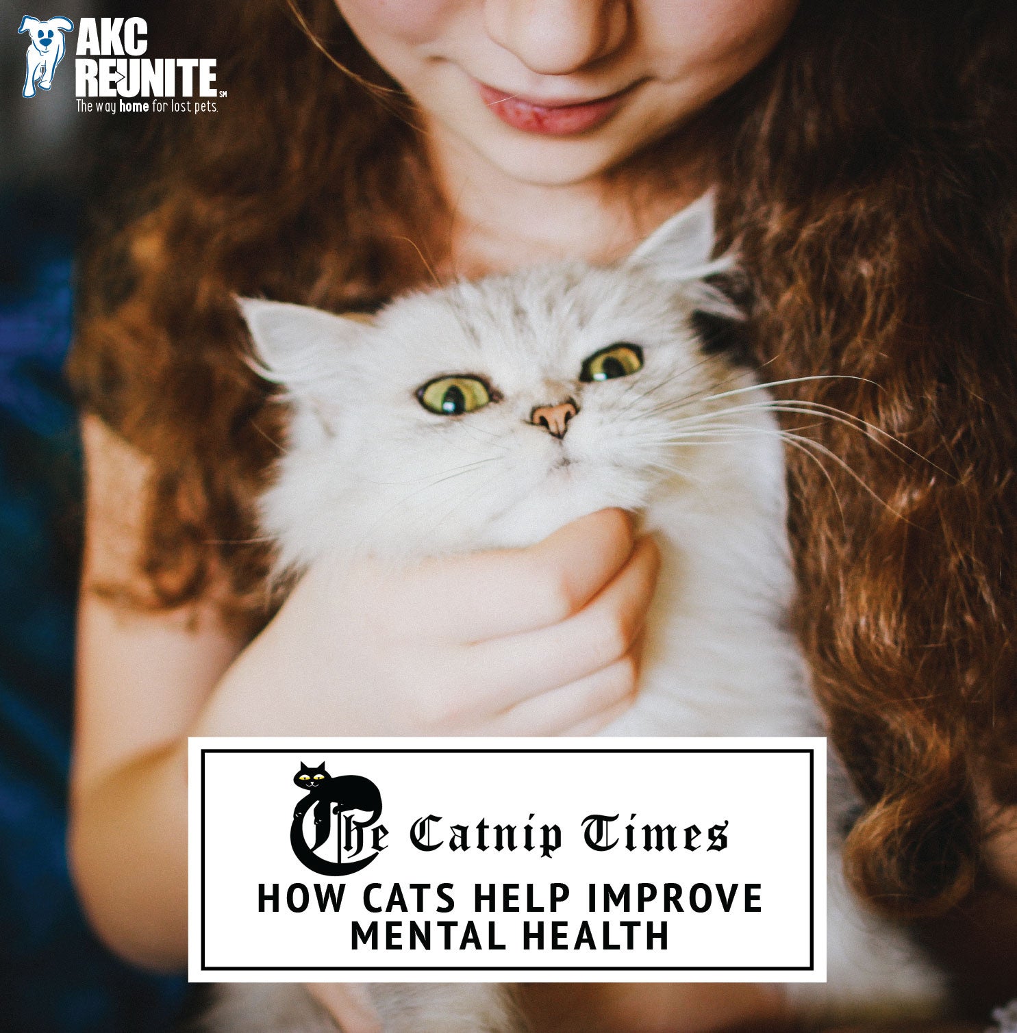Catnip Does It Affect Humans