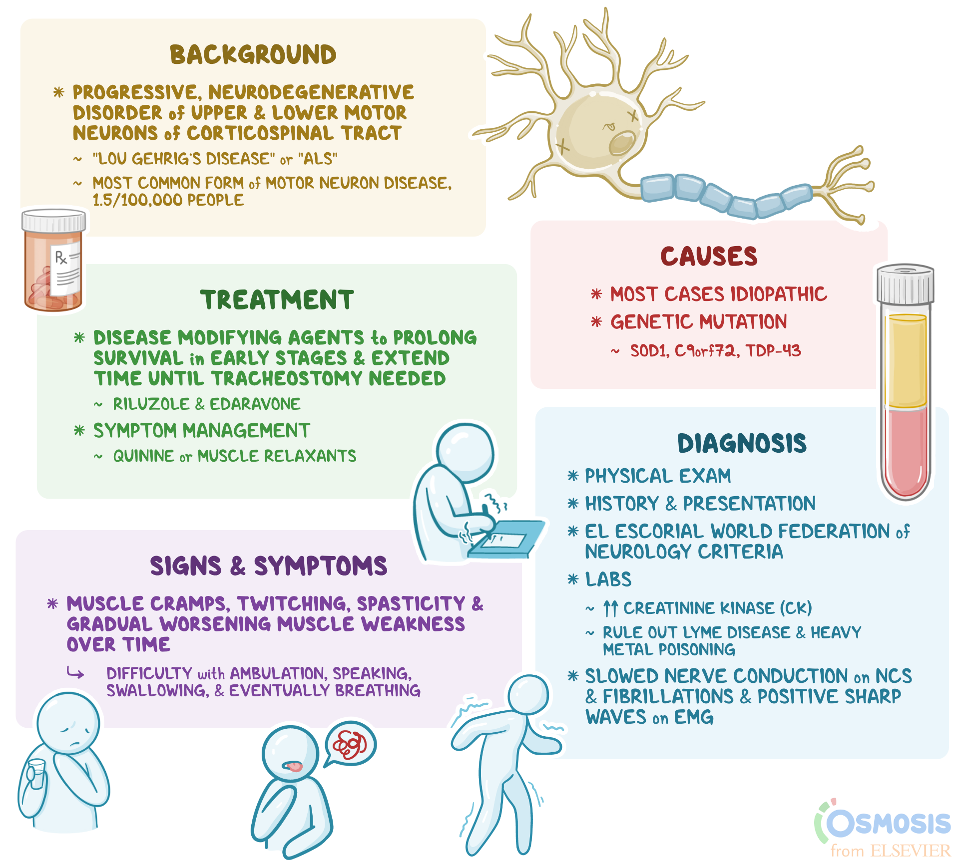 Understanding The Primary Causes Of Death In Als