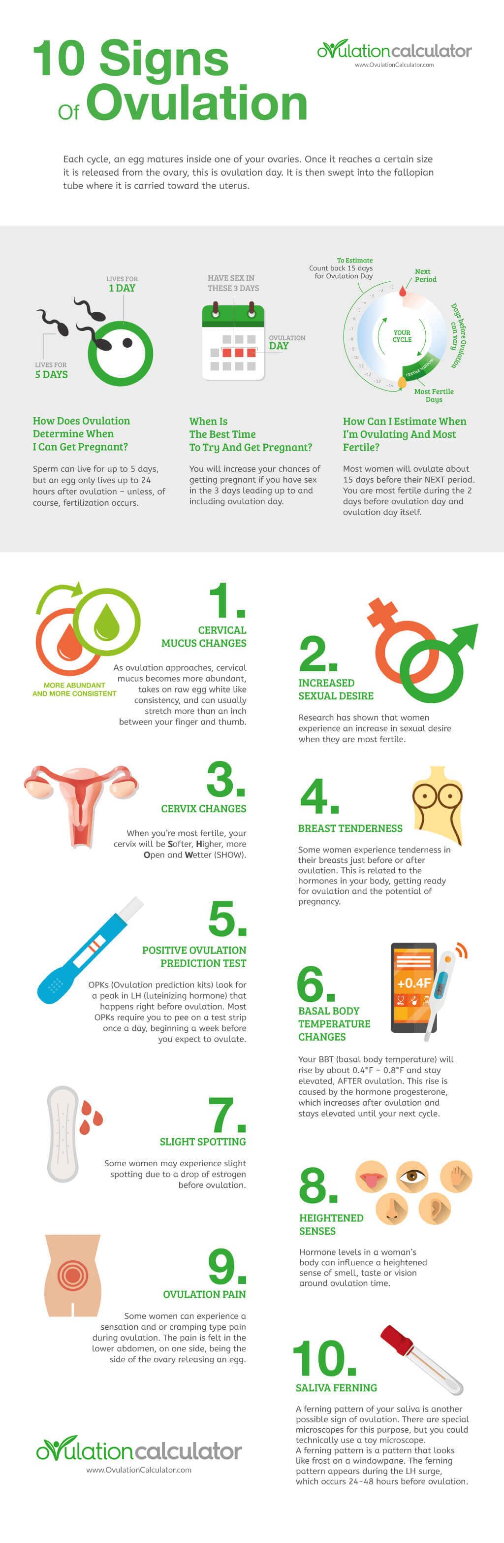 7 Common Signs Of Ovulation Every Woman Should Know