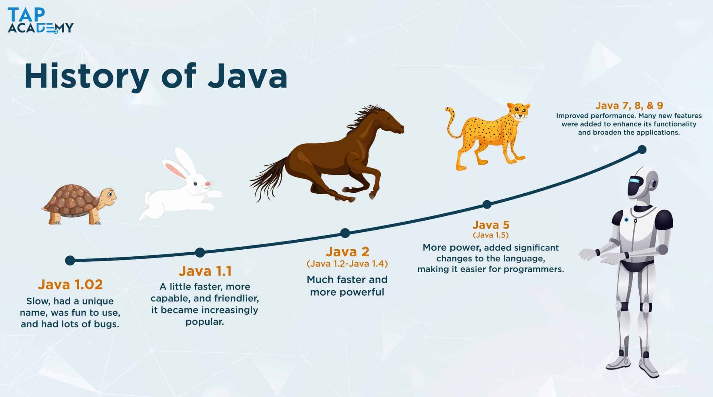 The Complete History Of Java: From Oak To Modern Enterprise