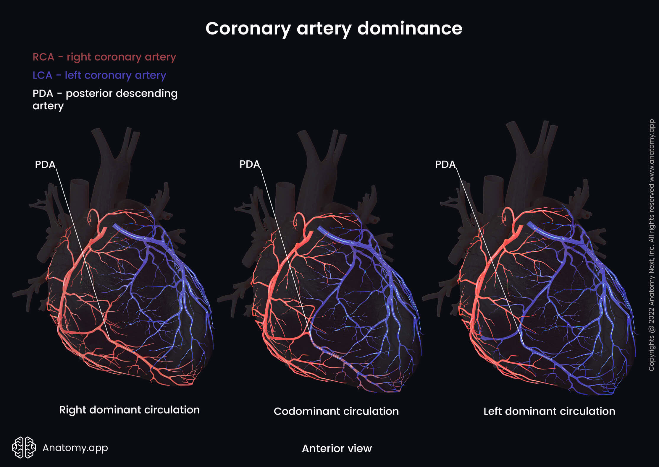 Coronary Perfusion Pressure