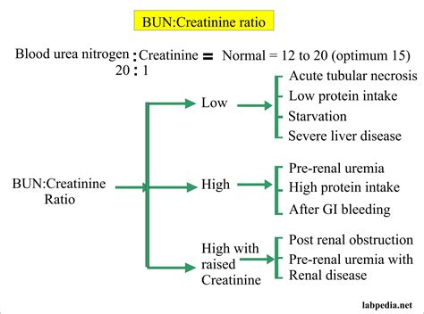 Cr Bun Ratio