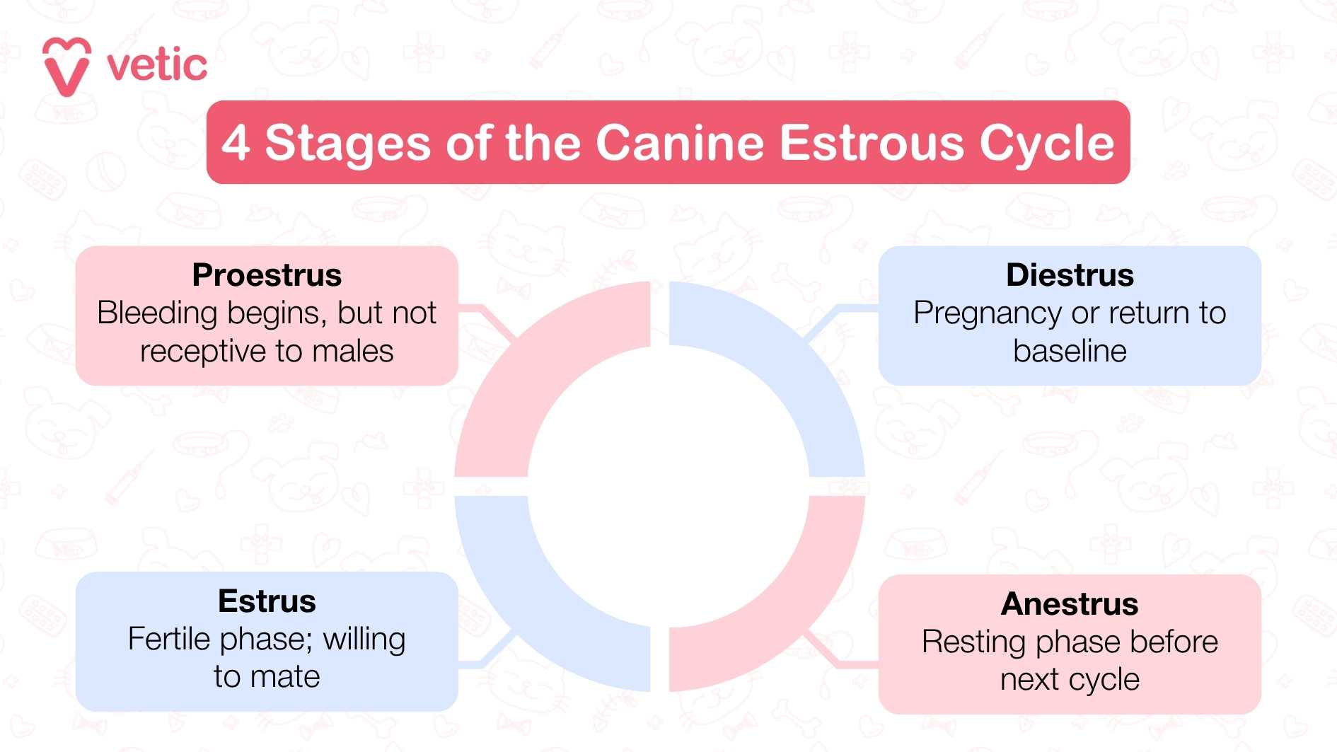 Cycle Images