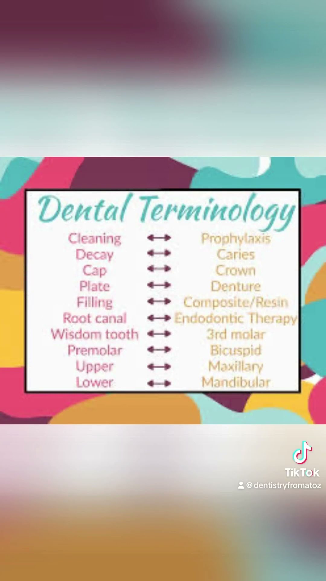 Dental Veneers Pros And Cons