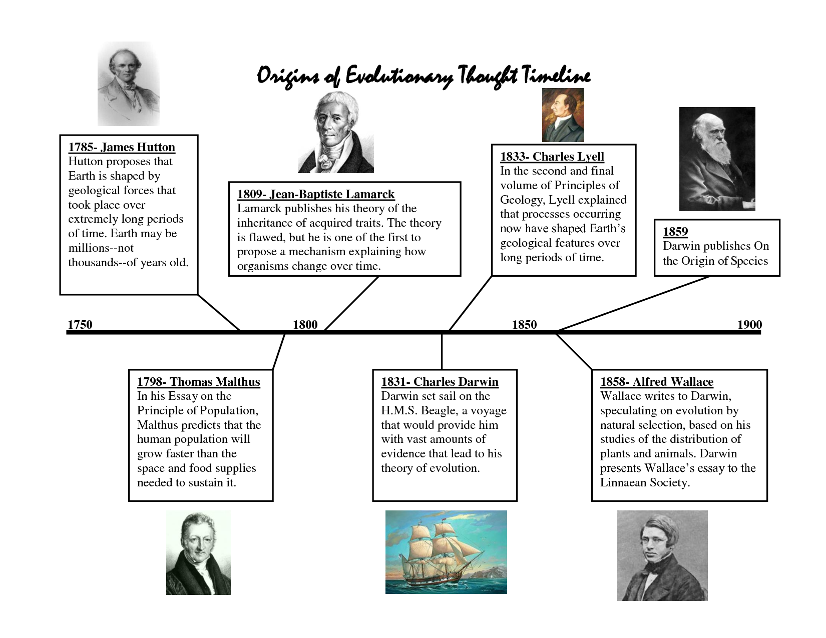 Tracing The Evolution: The Development Of Psychology Through History