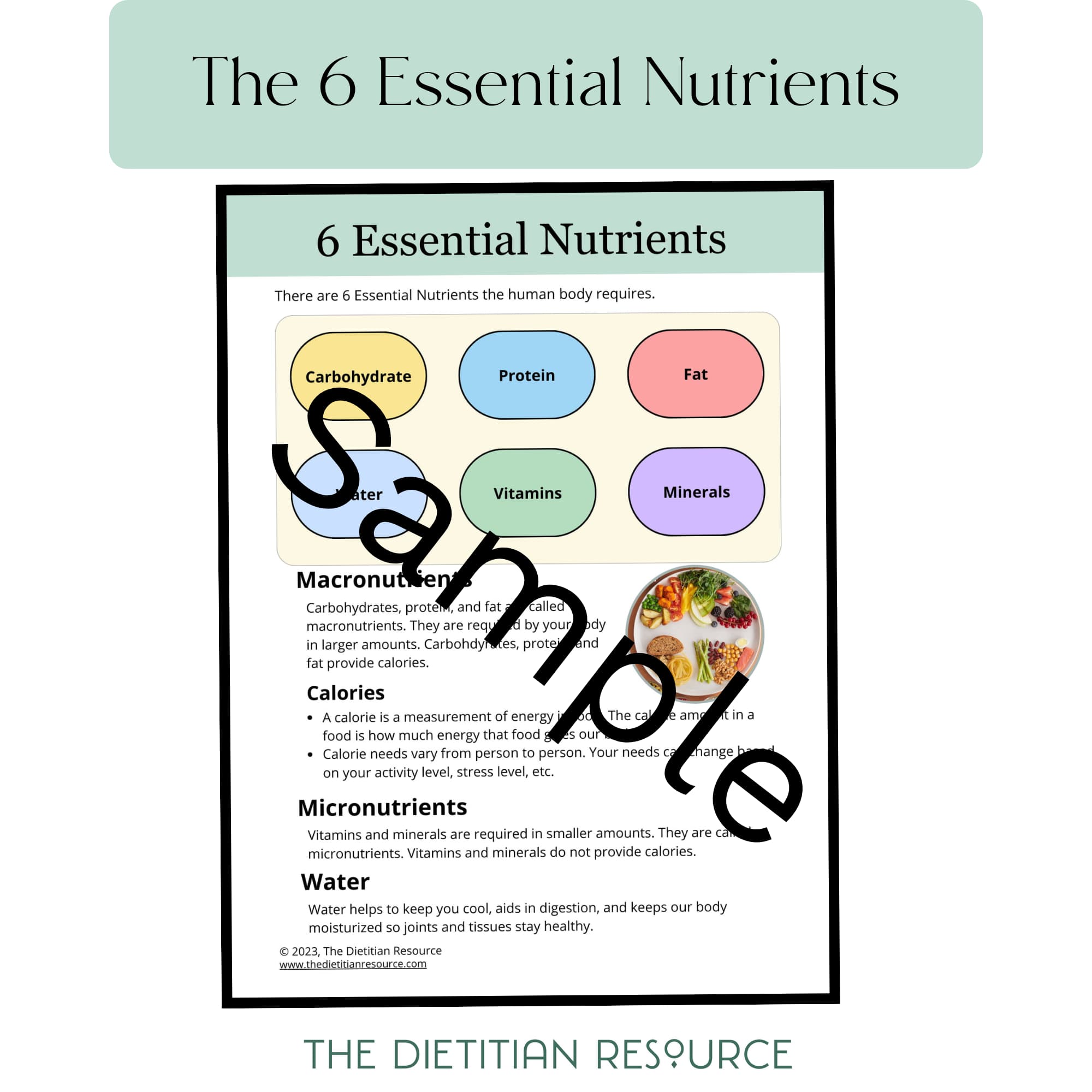Dietitian Vs Dietician
