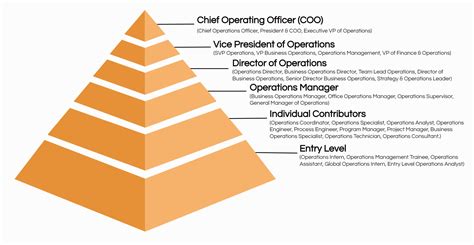 Director Of Operations Job Description
