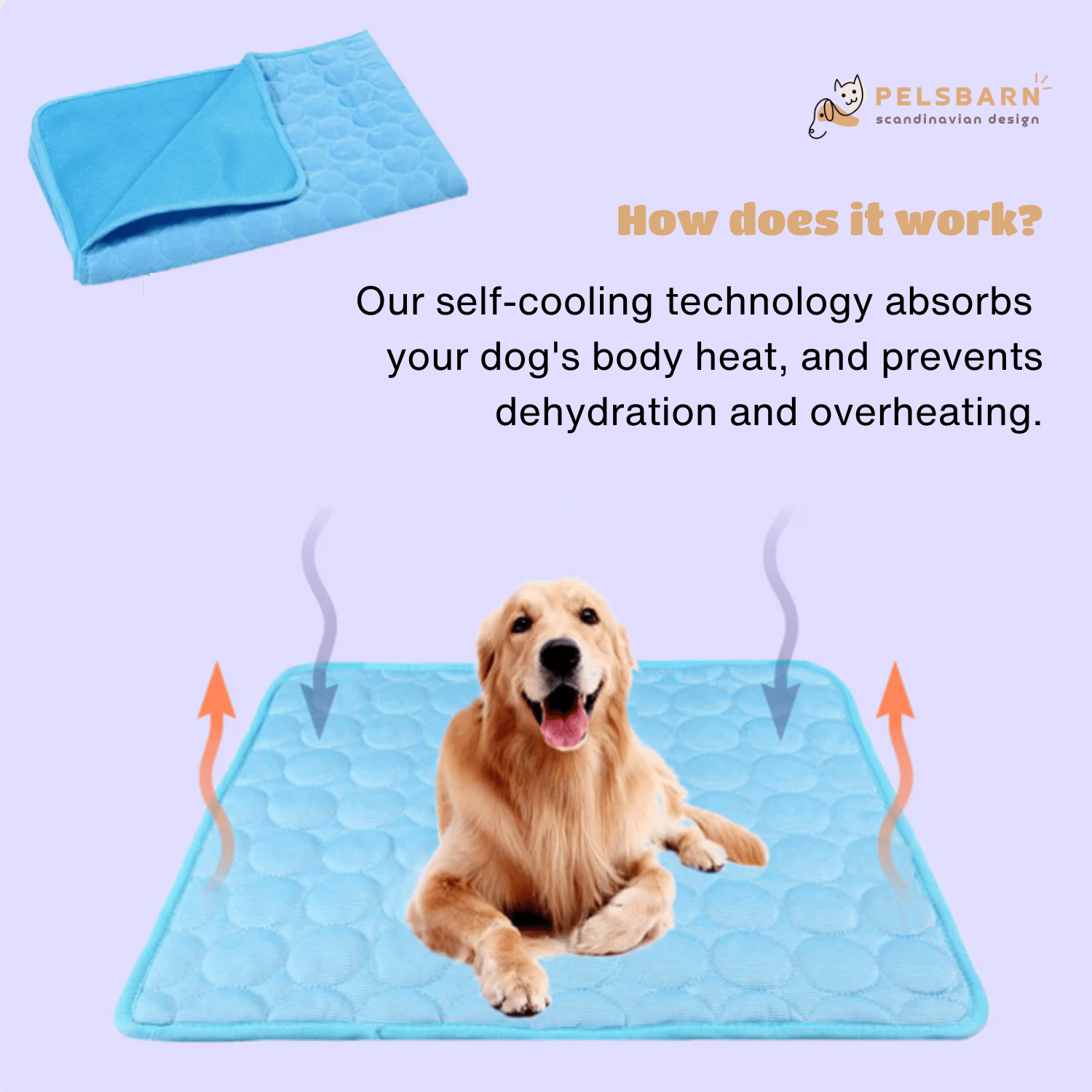 Do Cooling Dog Mats Work? The Truth Behind Your Pet’s Comfort