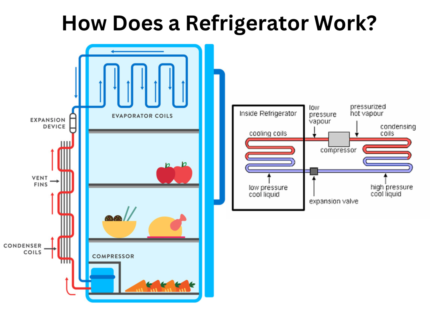 How Does A Refrigerator Work? A Simple Guide To Cooling