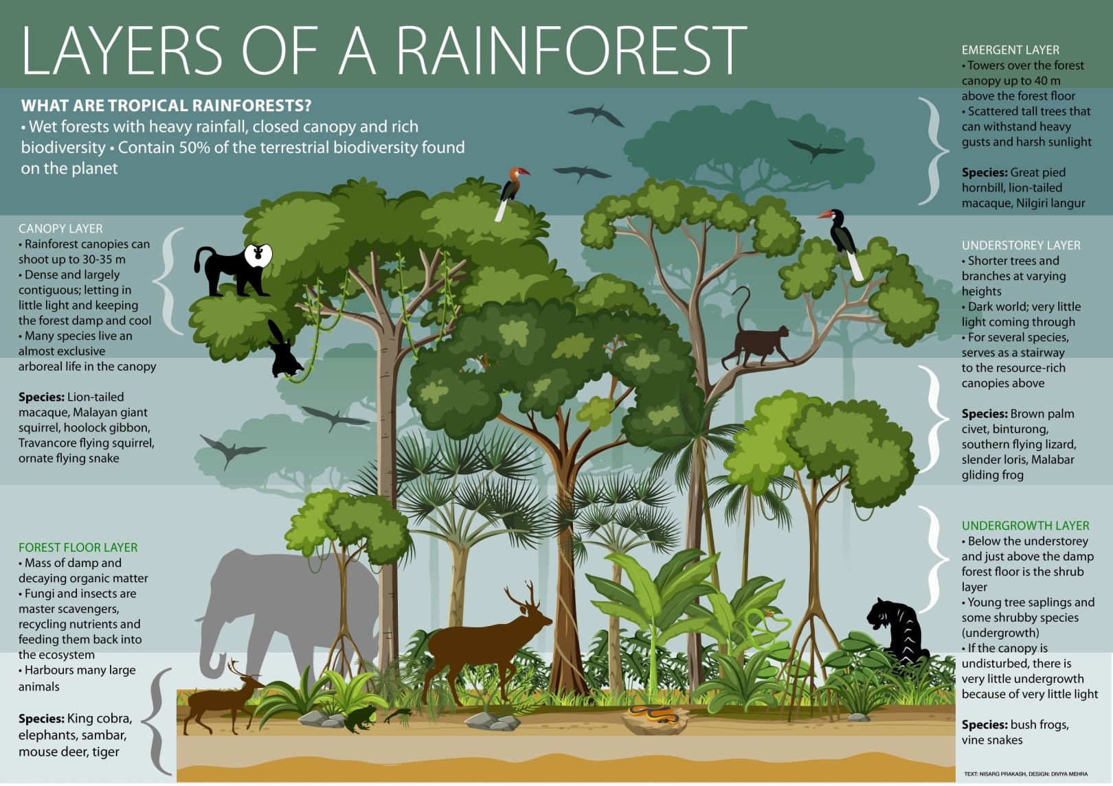 Ecosystem Of Biodiversity