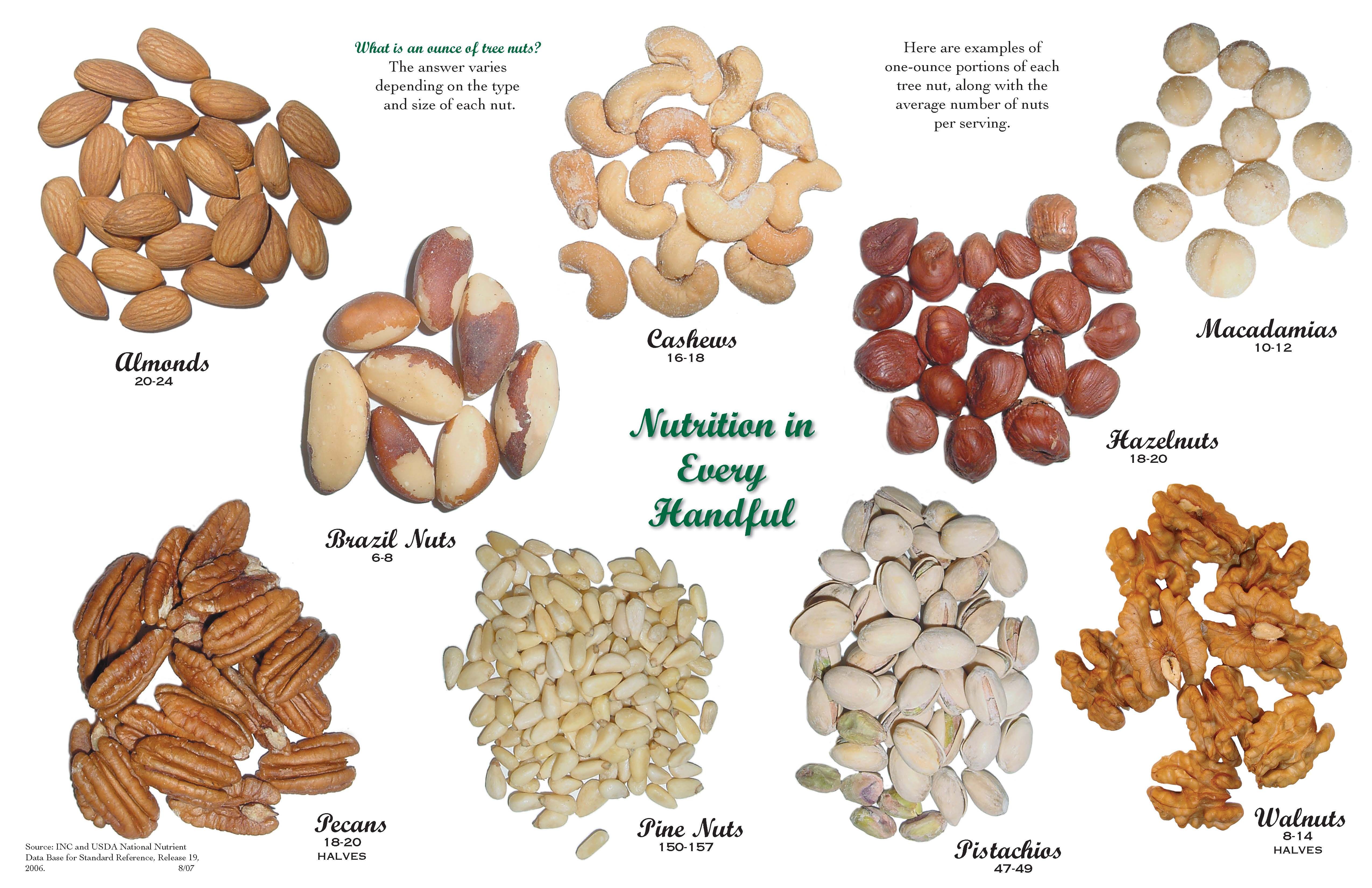 What Is Actually The Edible Part Of A Nut?