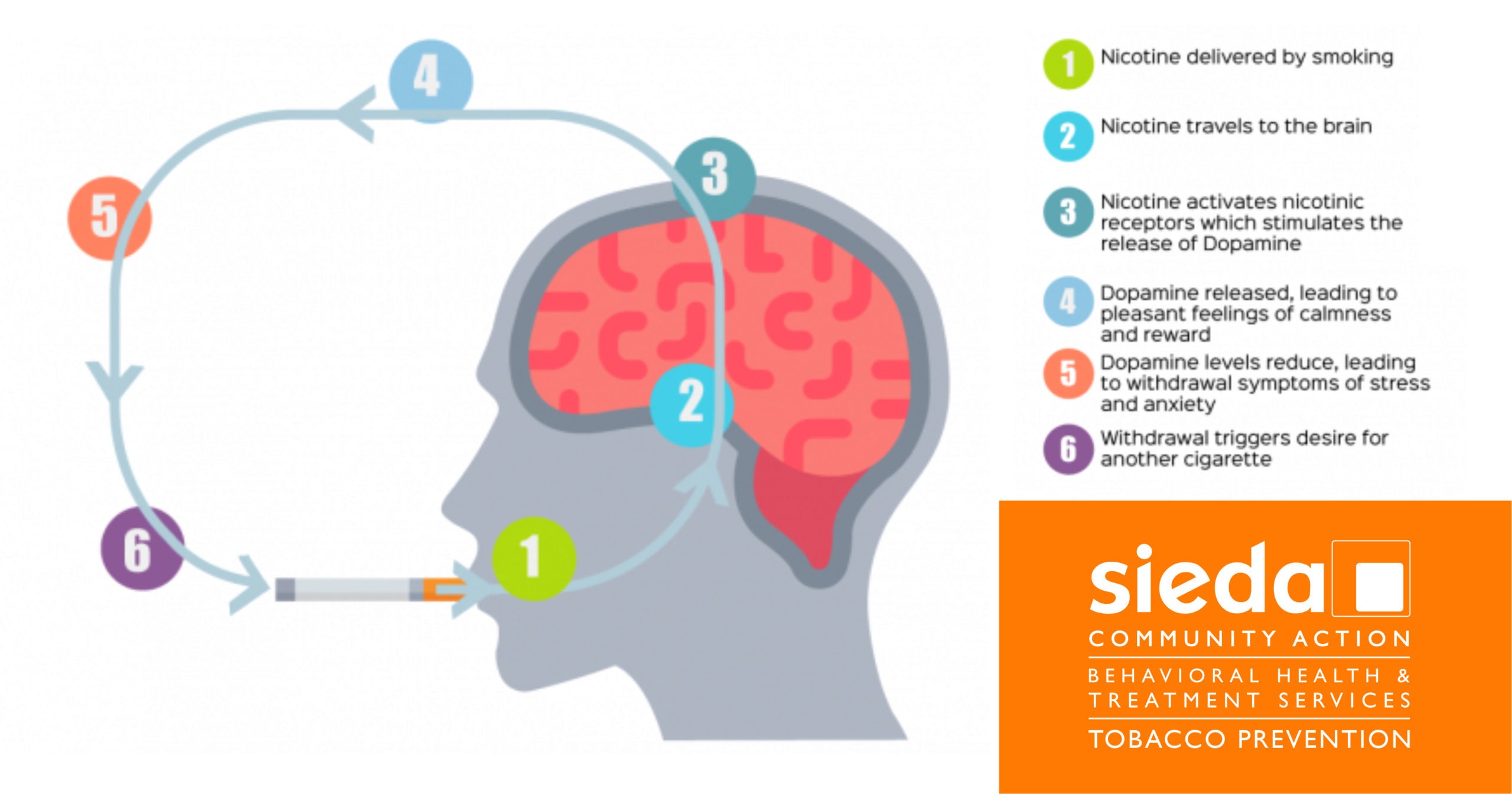 Effects Of Not Enough Sleep