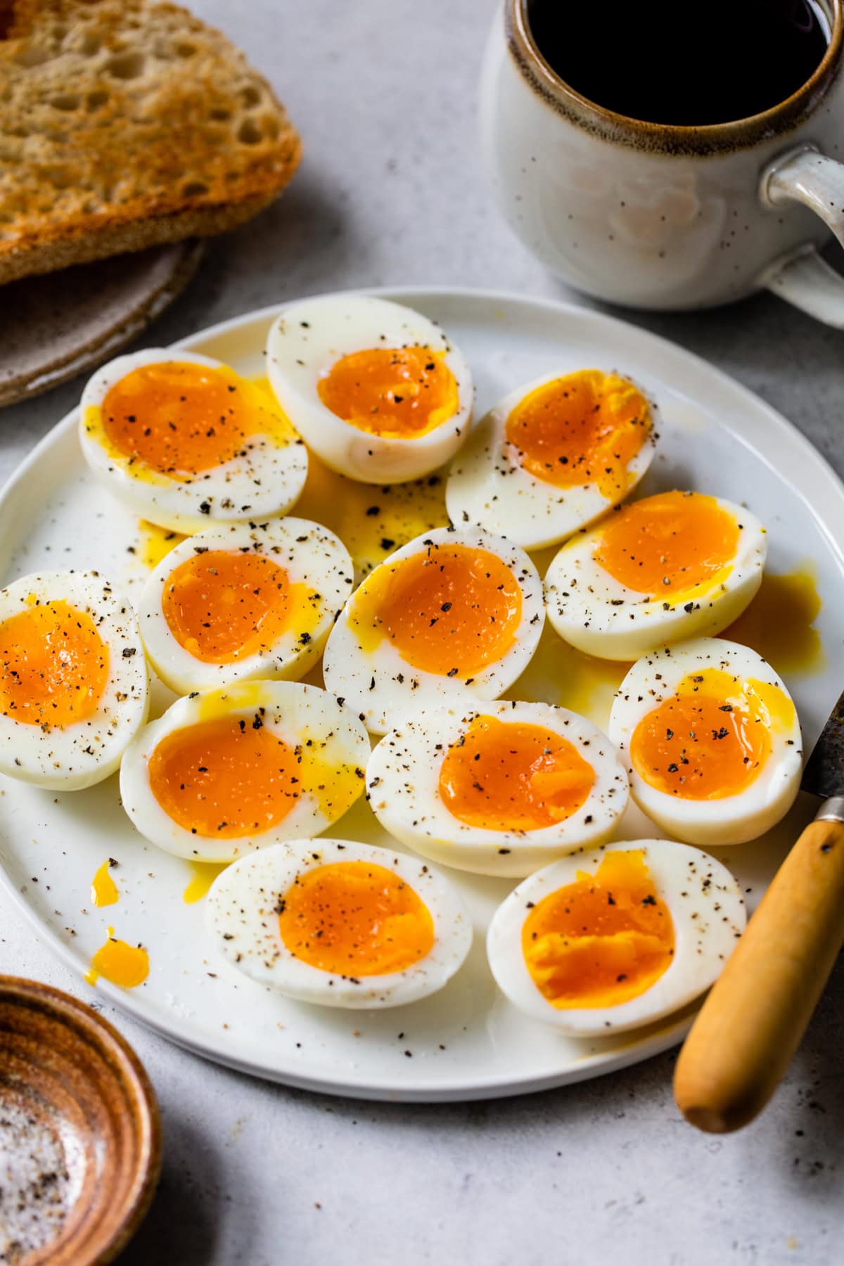 Egg Donor And Ivf