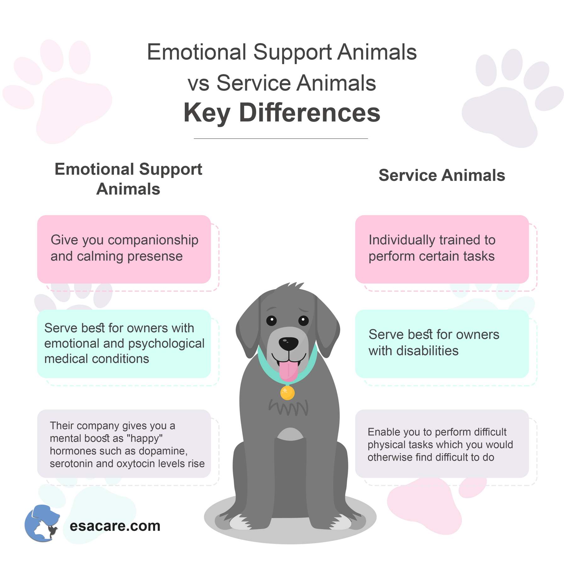 Emotional Regulation Worksheets