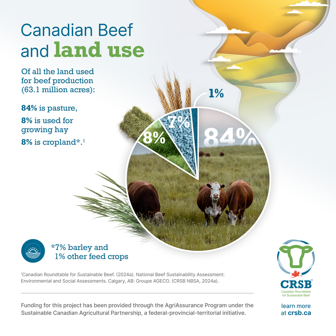 The Environmental Impact Of Beef: A 2026 Reality Check