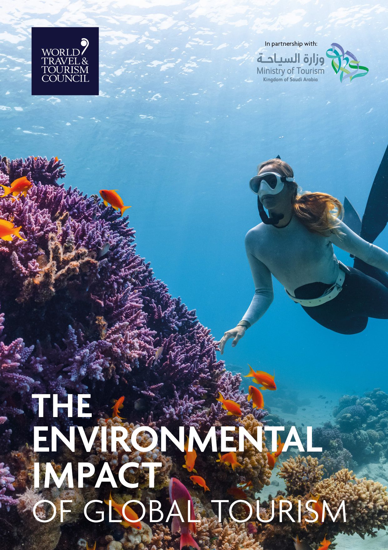 The Hidden Environmental Impact Of Tourism And How To Travel Better